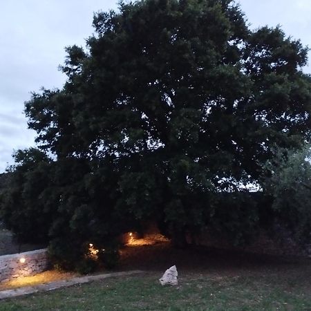 Villa Trulli La Quercia Del Nonno Locorotondo Exterior foto